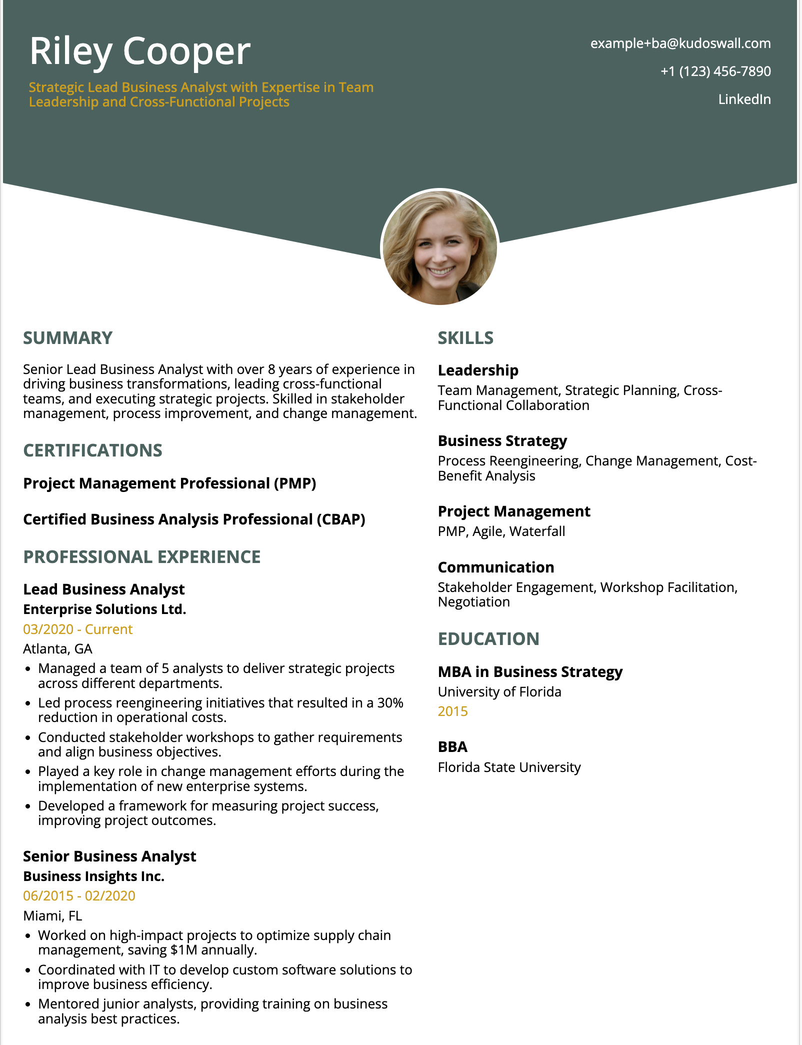 Lead Business Analyst Resume Example