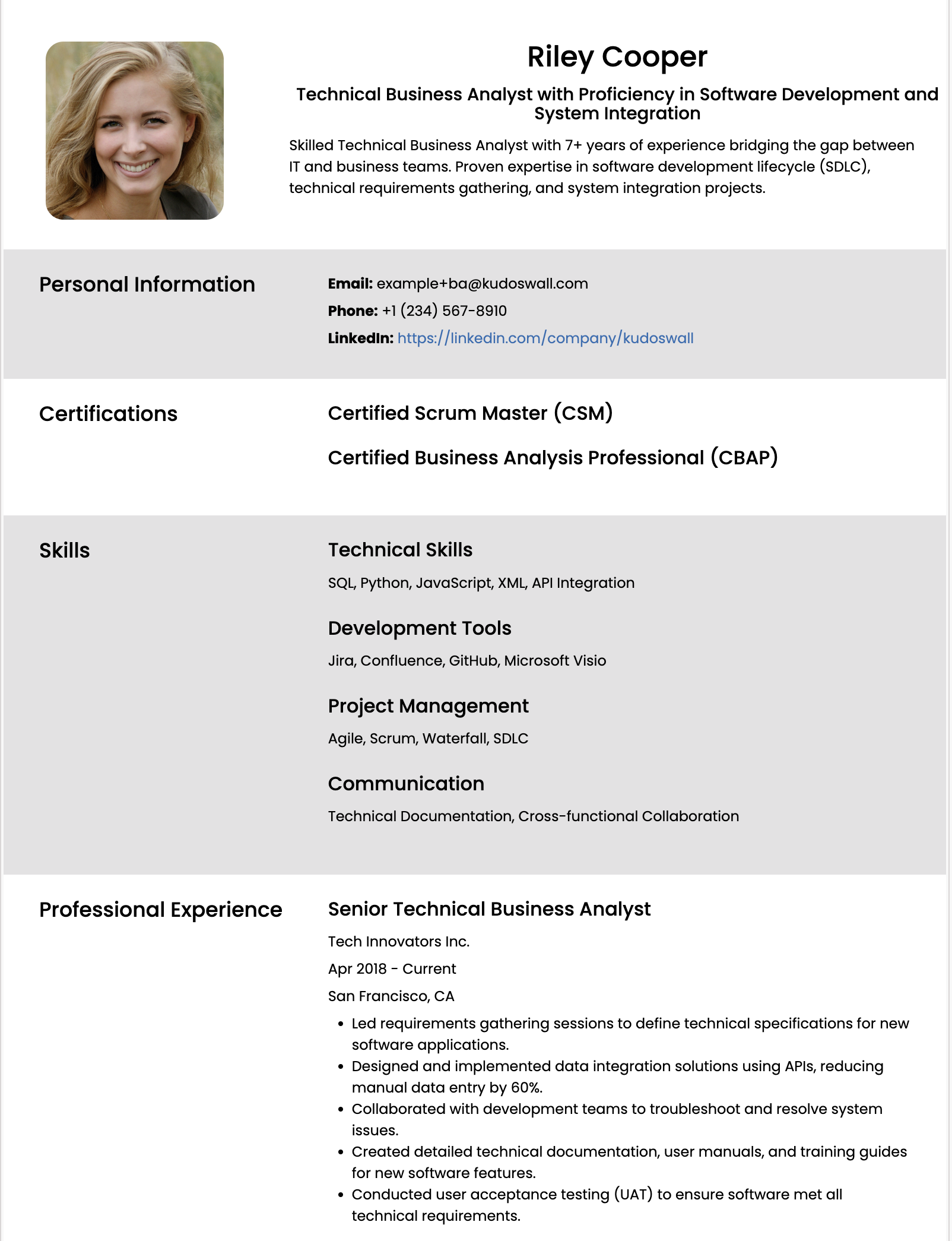 Technical Business Analyst Resume Example