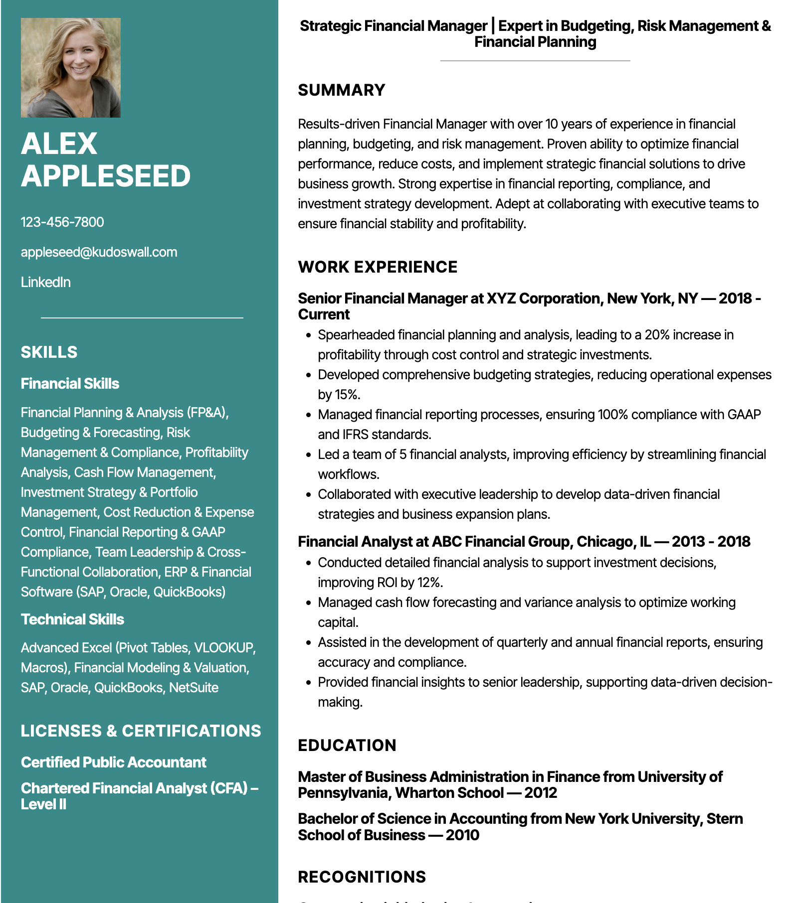Finance Manager Resume Examples