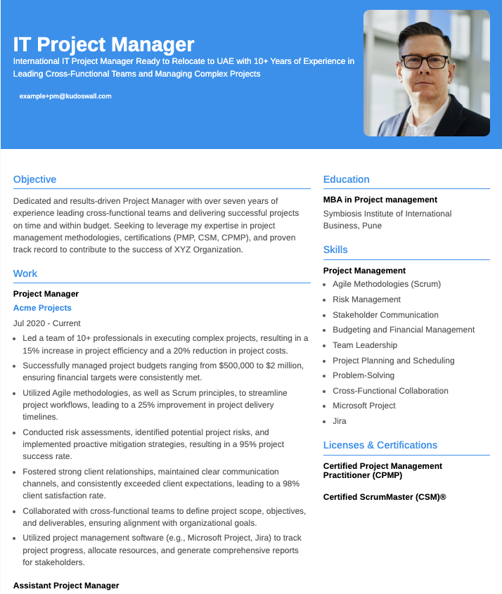 IT Project Manager Resume Example