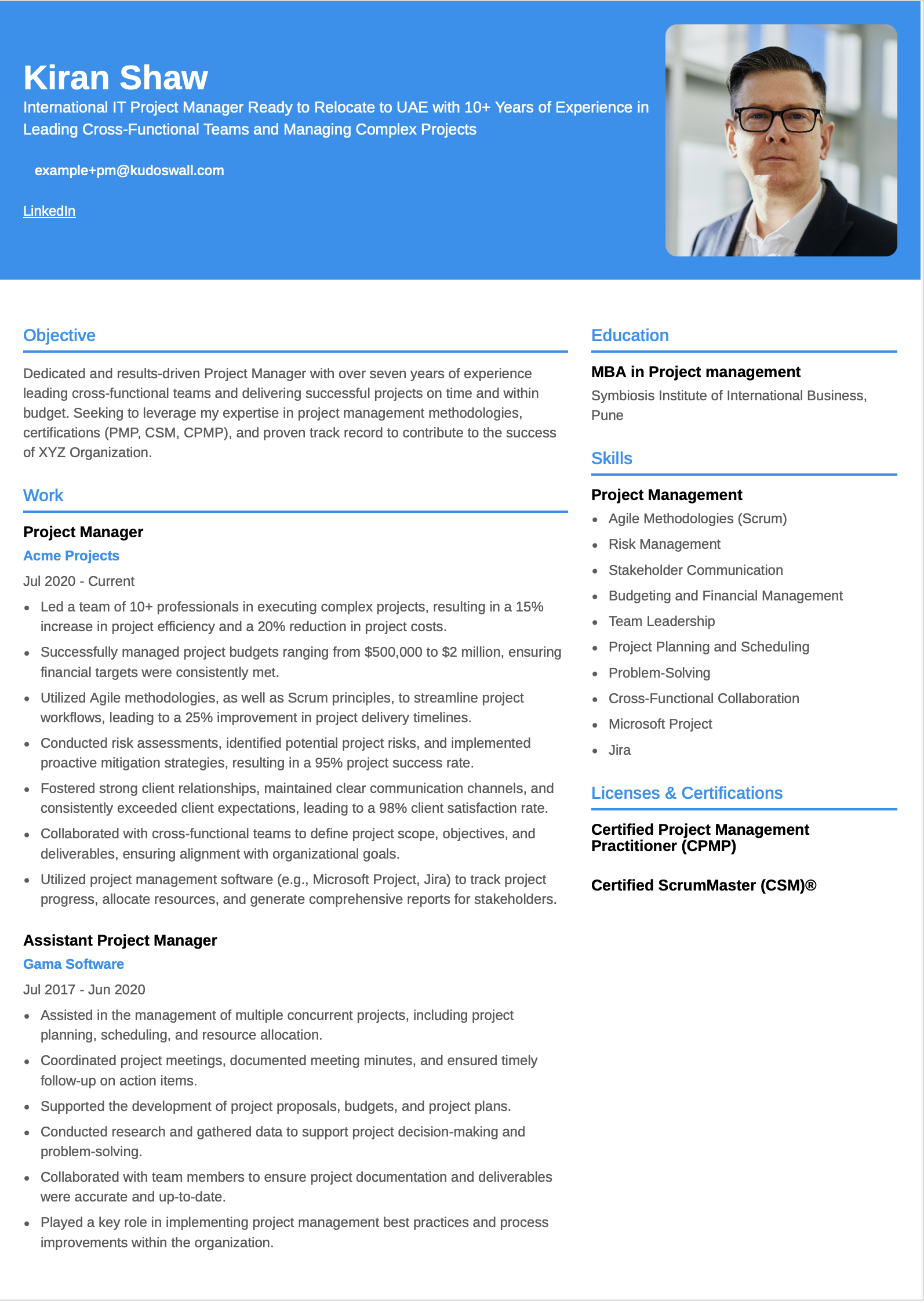 International IT Project Manager Resume Example