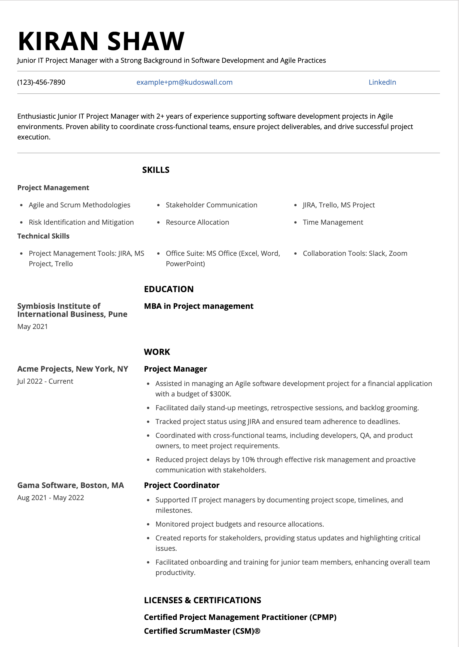 Junior IT Project Manager Resume Example