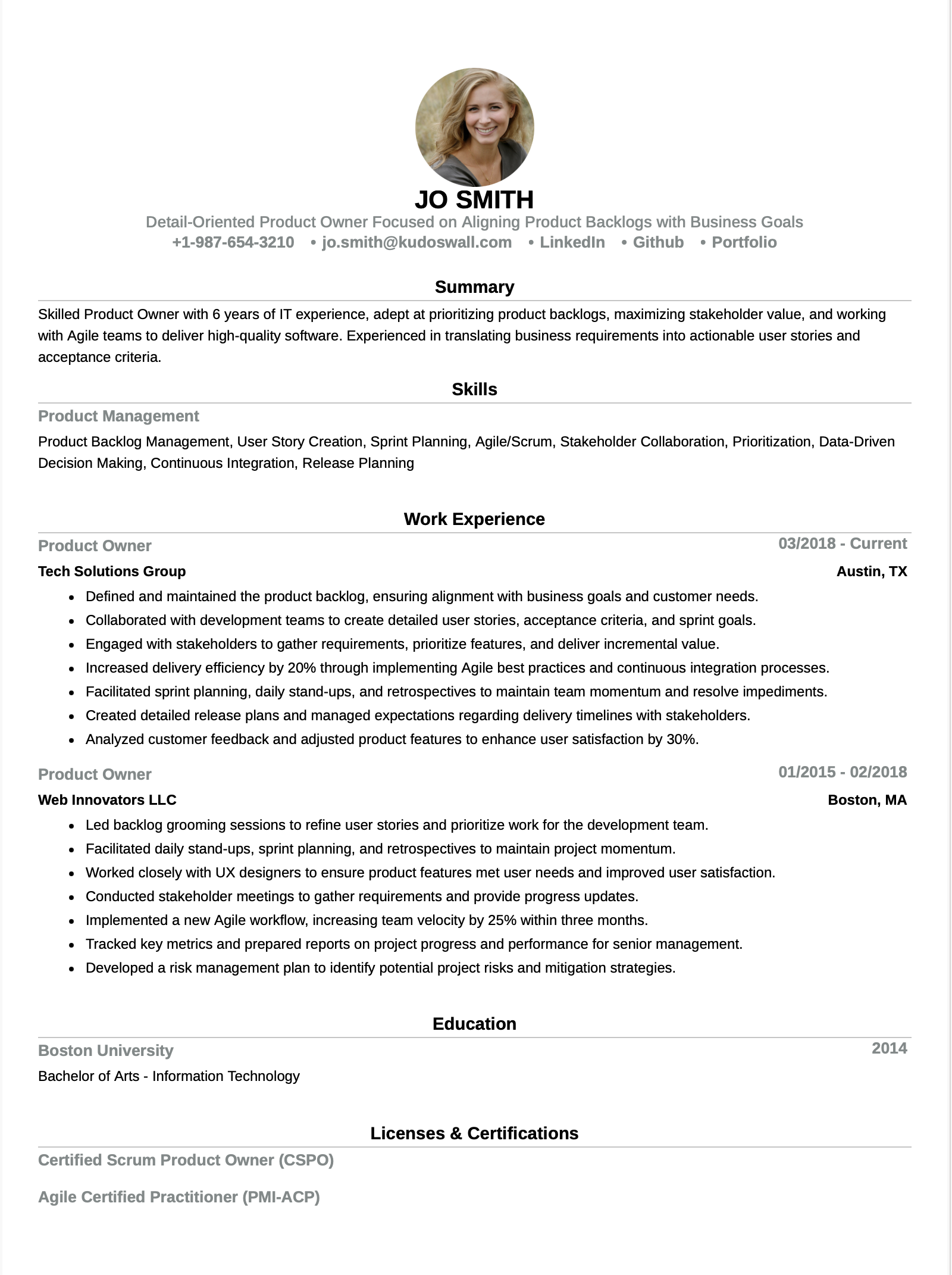 Agile Product Owner Resume Example